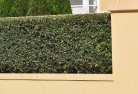 Pine Clumphard-landscaping-surfaces-8.jpg; ?>